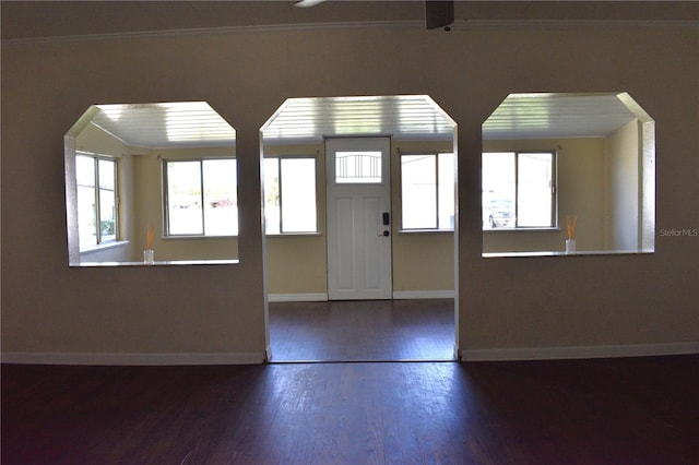 foyer with baseboards, ornamental molding, a wealth of natural light, and wood finished floors