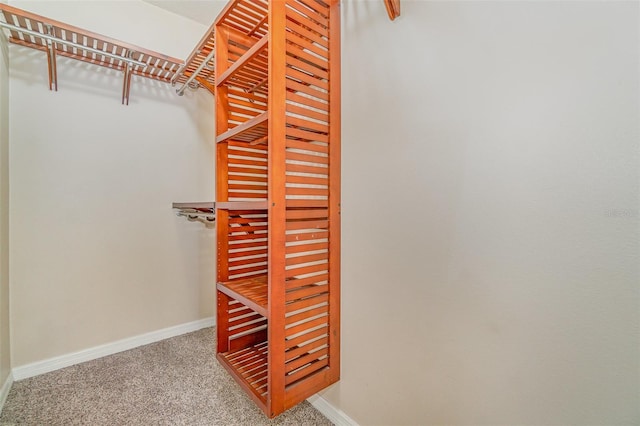 spacious closet featuring carpet flooring