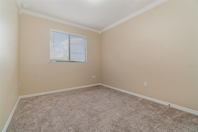 carpeted empty room featuring crown molding