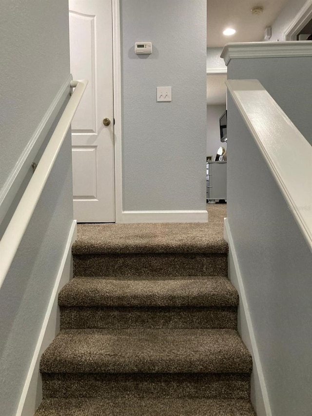 staircase with carpet floors