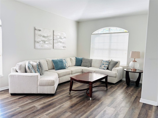 living room with dark hardwood / wood-style flooring