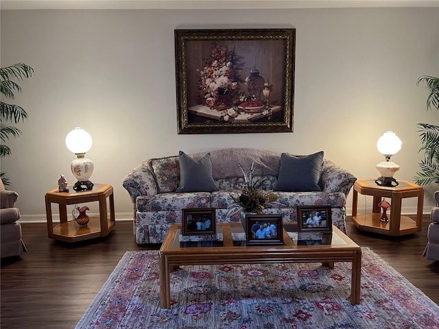 living room with dark wood-type flooring