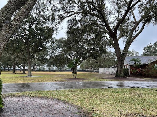 view of yard