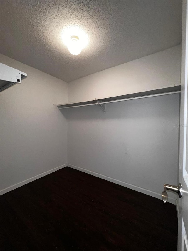 spacious closet featuring dark wood-type flooring