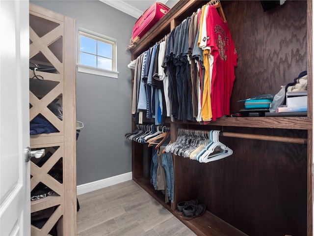 spacious closet with hardwood / wood-style flooring