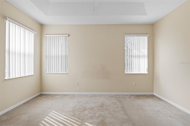 spare room with a healthy amount of sunlight, light carpet, and a tray ceiling