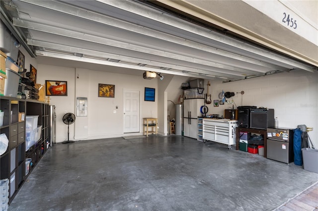 garage featuring a garage door opener and gas water heater