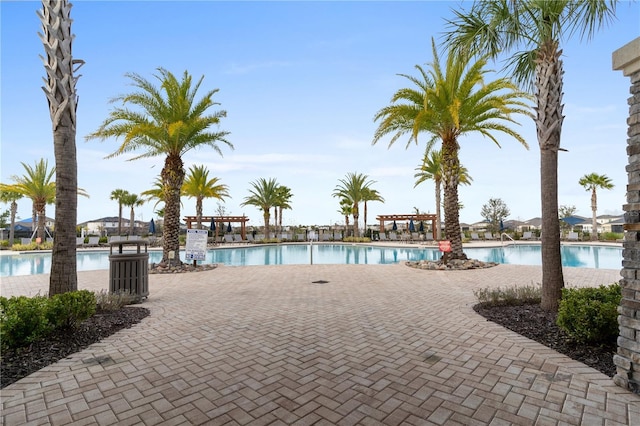 view of pool featuring a patio