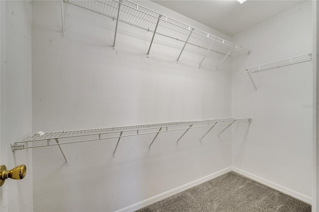 spacious closet with carpet flooring