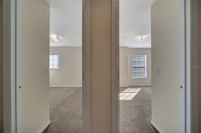 hallway featuring light colored carpet