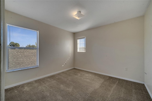 spare room featuring carpet floors