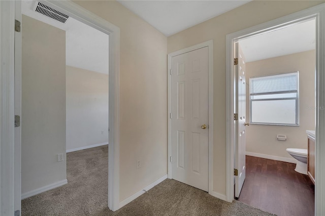 corridor featuring carpet floors