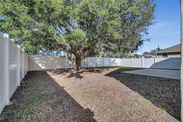 view of yard with a patio