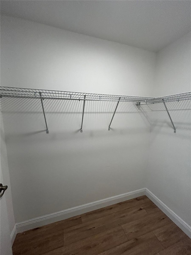 spacious closet with dark hardwood / wood-style flooring