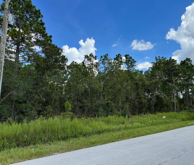 TBDLOT39 SW Vibeurnum Rd, Dunnellon FL, 34431 land for sale