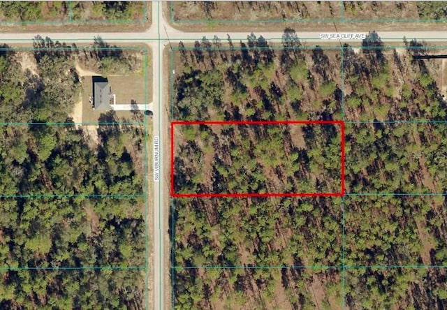 Listing photo 2 for TBDLOT39 SW Vibeurnum Rd, Dunnellon FL 34431