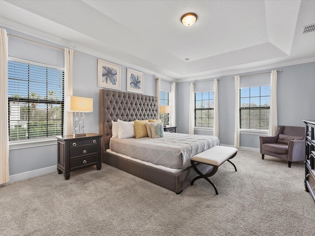 bedroom featuring a raised ceiling and light colored carpet