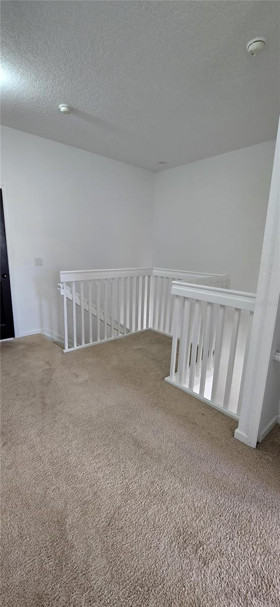 spare room with a textured ceiling and carpet flooring