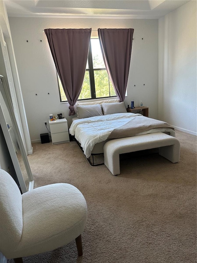 view of carpeted bedroom