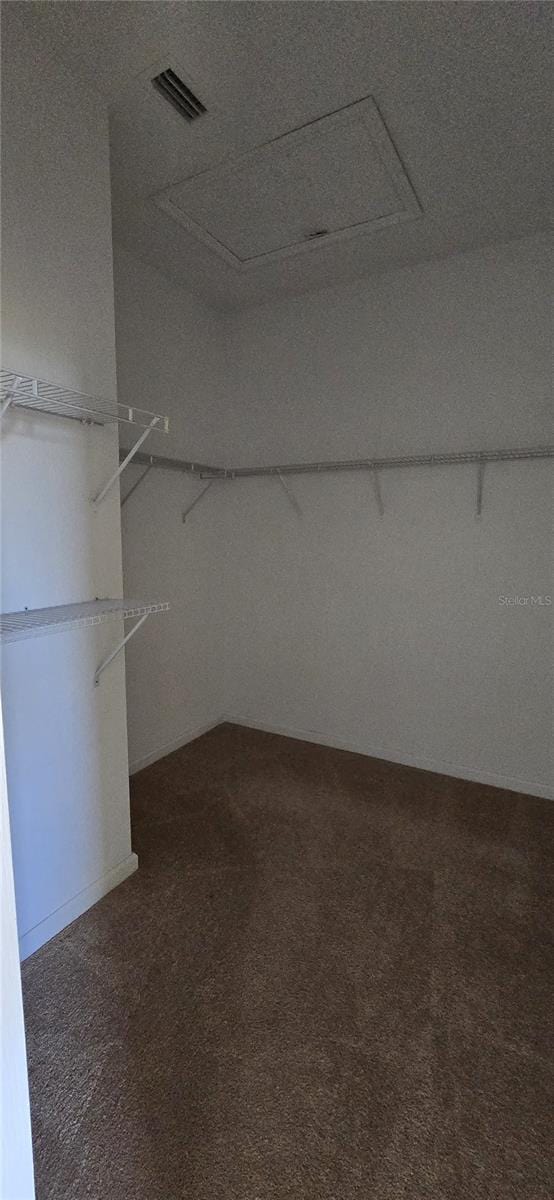 spacious closet with carpet flooring