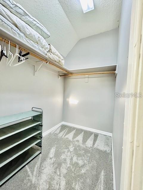 walk in closet featuring lofted ceiling and carpet floors