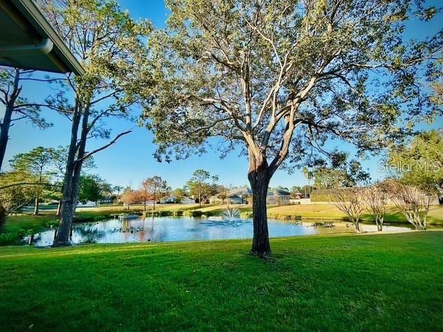 view of yard with a water view