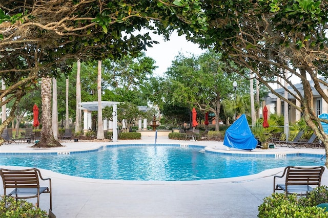 view of swimming pool with a patio and a pergola