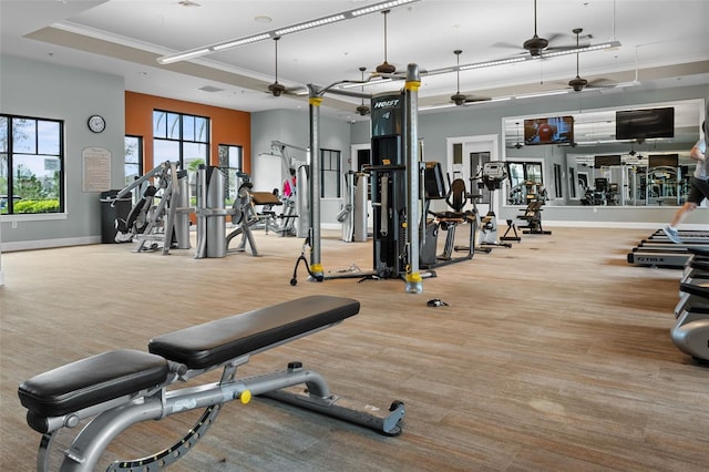 exercise room featuring baseboards, a tray ceiling, a ceiling fan, and ornamental molding