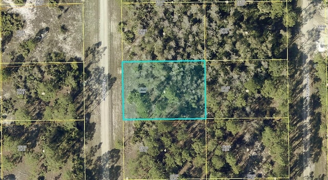 847 Worth Ave S, Lehigh Acres FL, 33974 land for sale