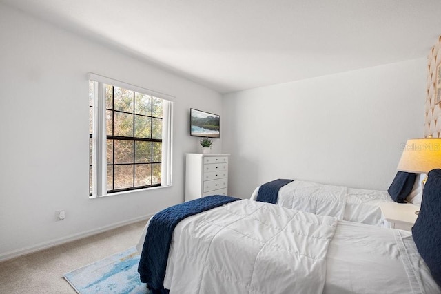 bedroom with carpet floors