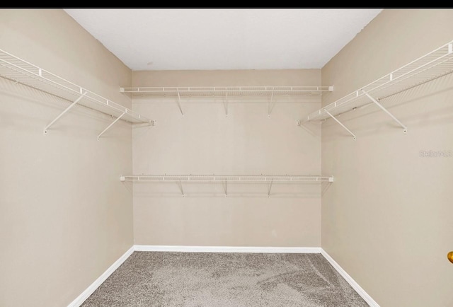 spacious closet with carpet