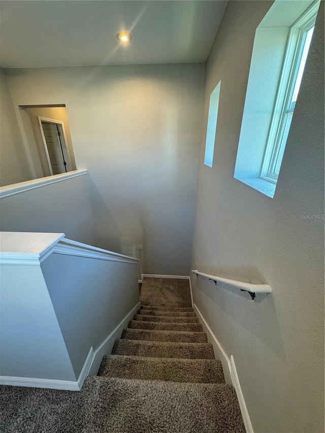 stairway with carpet flooring