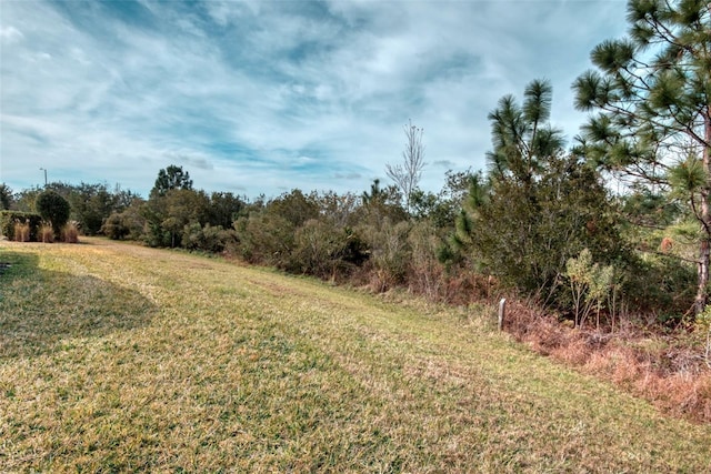 view of local wilderness