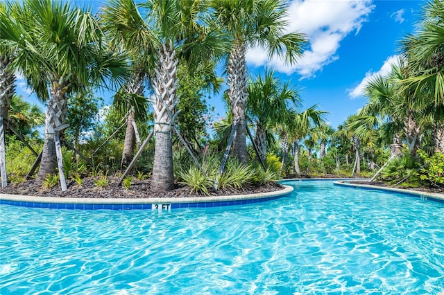 view of swimming pool