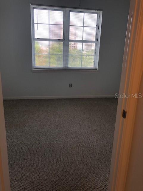 spare room featuring carpet flooring