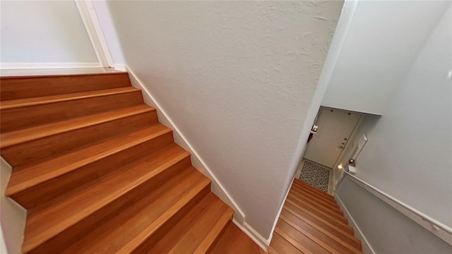 stairway featuring wood-type flooring