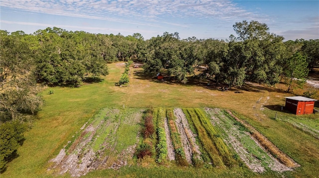 drone / aerial view featuring a rural view