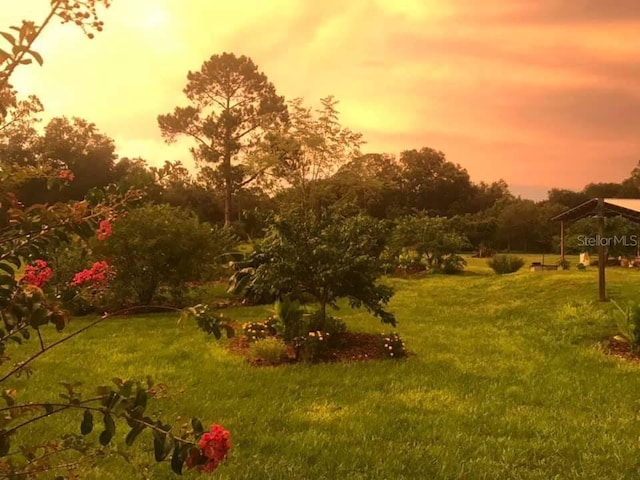 view of yard at dusk