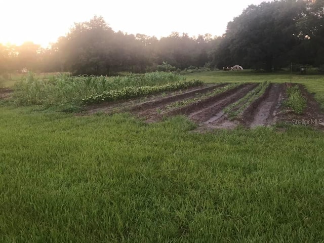 view of yard featuring a rural view