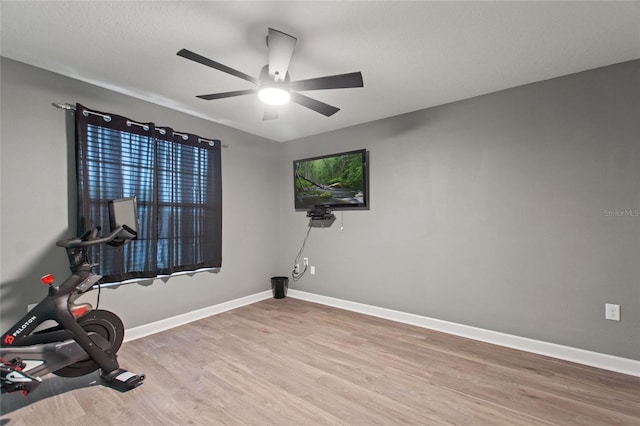 exercise room with ceiling fan and light hardwood / wood-style flooring