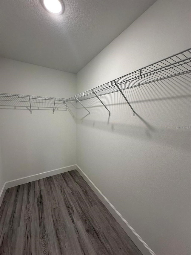 walk in closet with dark wood-type flooring