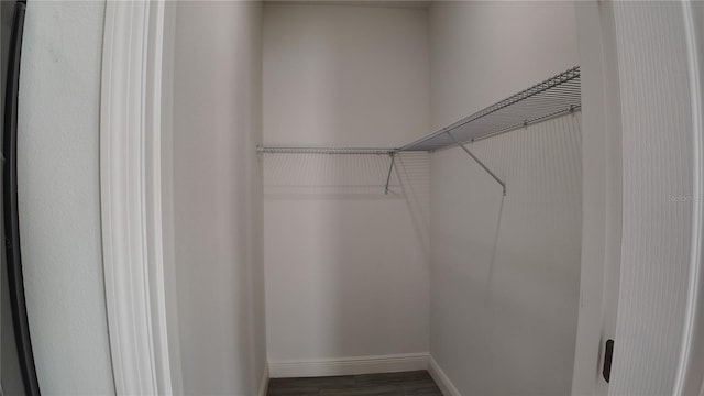 walk in closet featuring dark hardwood / wood-style floors