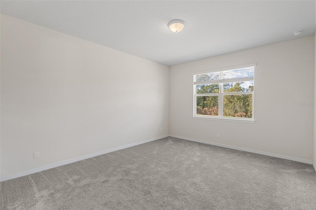 spare room featuring carpet floors and a textured ceiling