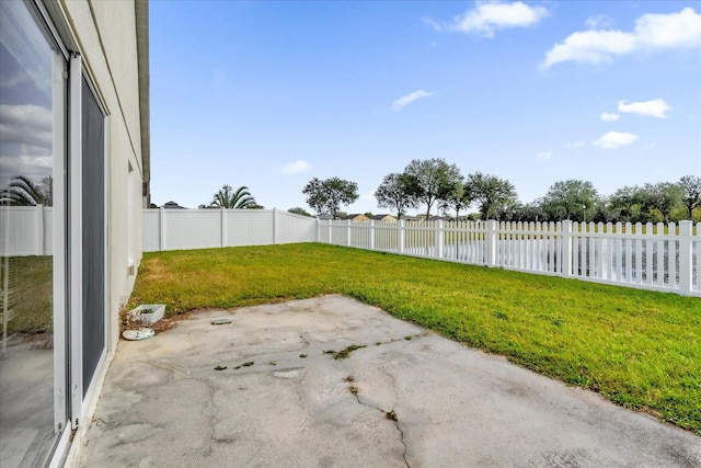 view of yard featuring a patio