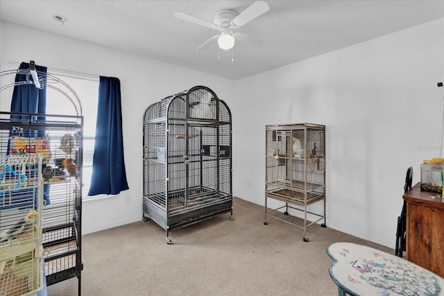 interior space with carpet flooring and ceiling fan