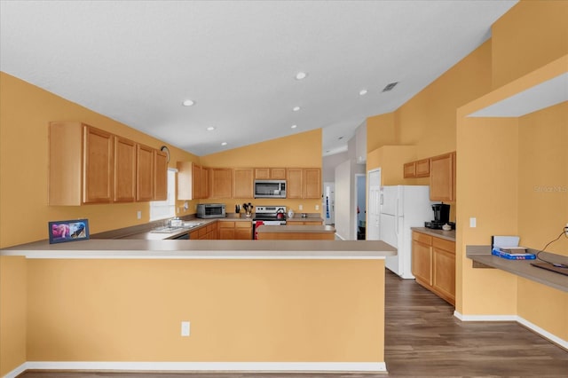 kitchen with sink, vaulted ceiling, appliances with stainless steel finishes, dark hardwood / wood-style flooring, and kitchen peninsula