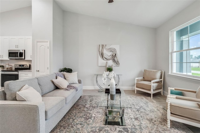 living room with dark wood-type flooring and high vaulted ceiling