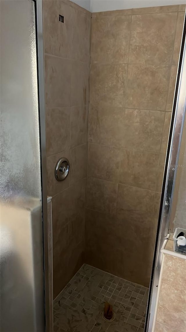 bathroom featuring a shower stall