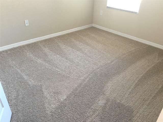 interior details featuring carpet