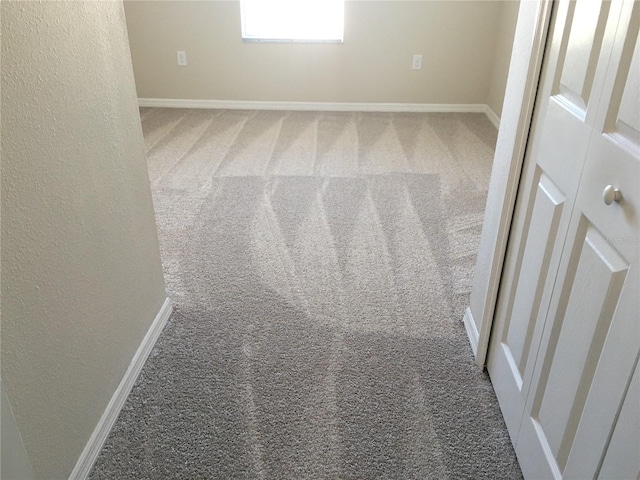 room details featuring carpet floors